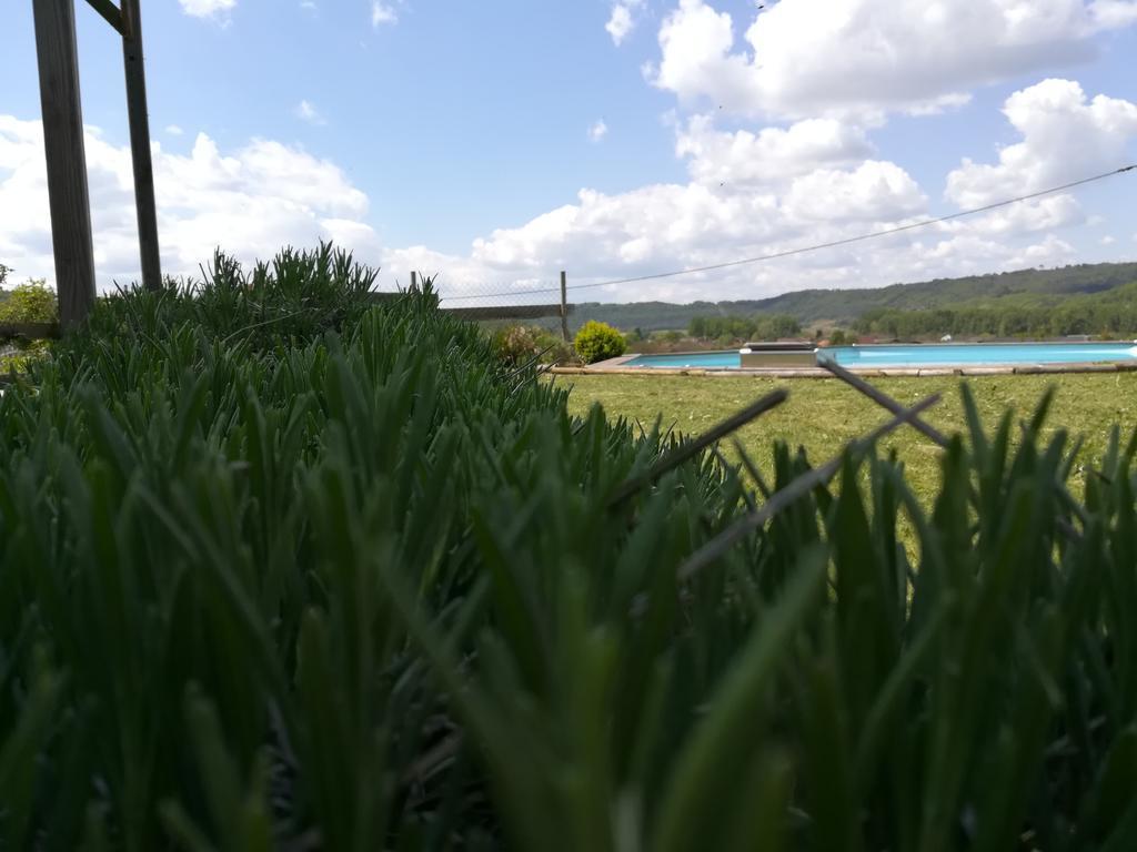 Villa La Guionie Montignac Lascaux Luaran gambar